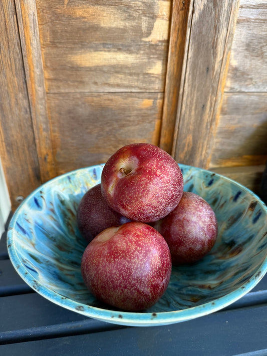 Peacock serving bowl Handmade pottery