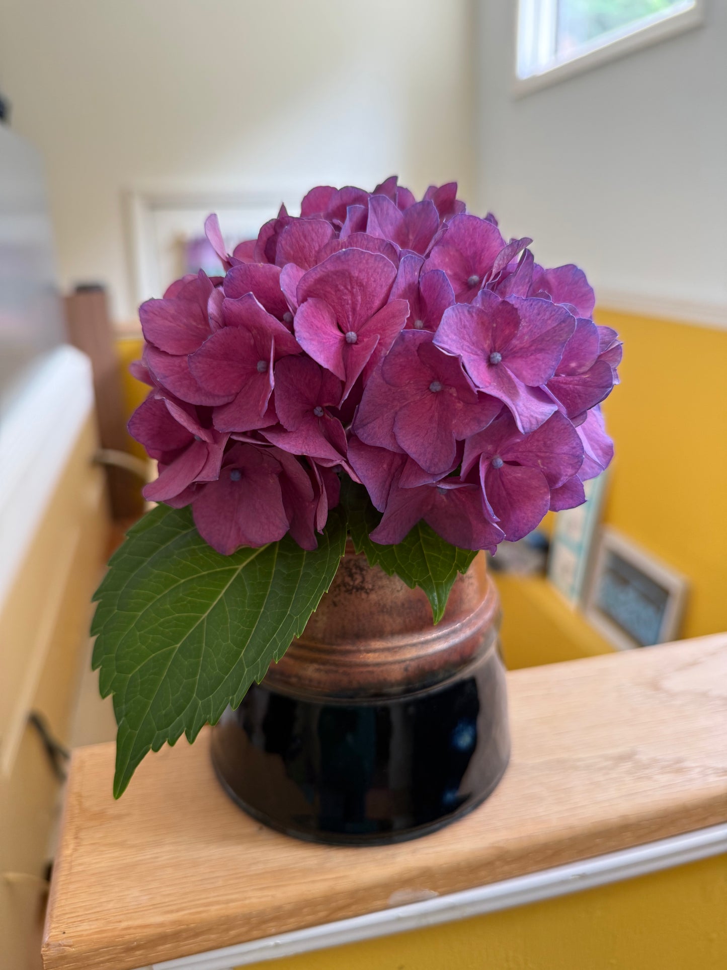 Summer Blooms Vase - Copper Black with Blue Interior