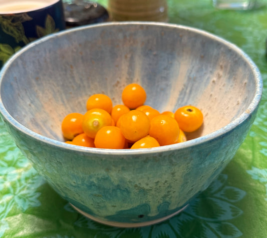 Gooseberry porcelain bowl with speckled glaze and orange gooseberries